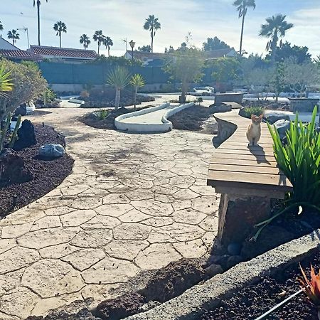 Bungalow En El Sur De Gran Canaria Las Palmas de Gran Canaria Eksteriør billede